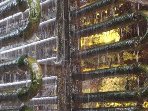 Algae in cooling towers